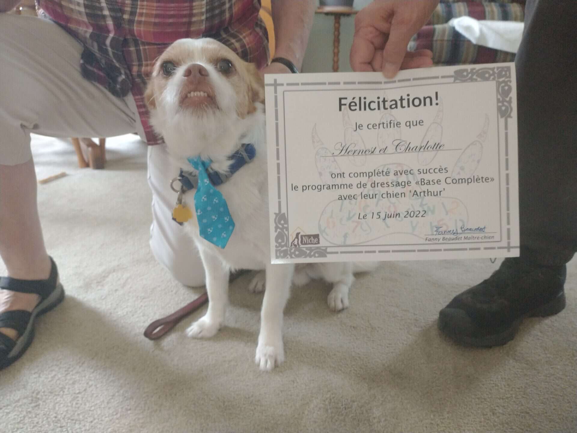 Chien assis par terre qui montre les dents et son maître qui tiens son certificat d'éducation canine.